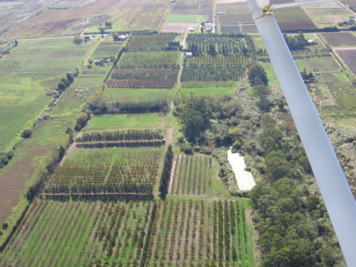 Eagles Wings Project farm seen from air
