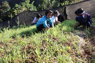 teaching children the basics of agriculture near Thai border
